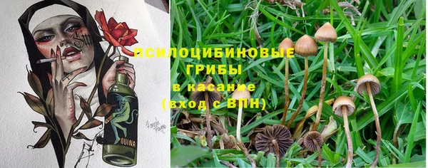 трава Алексин