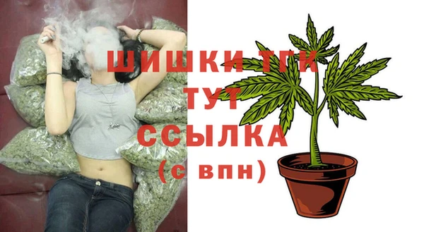 дмт Алзамай
